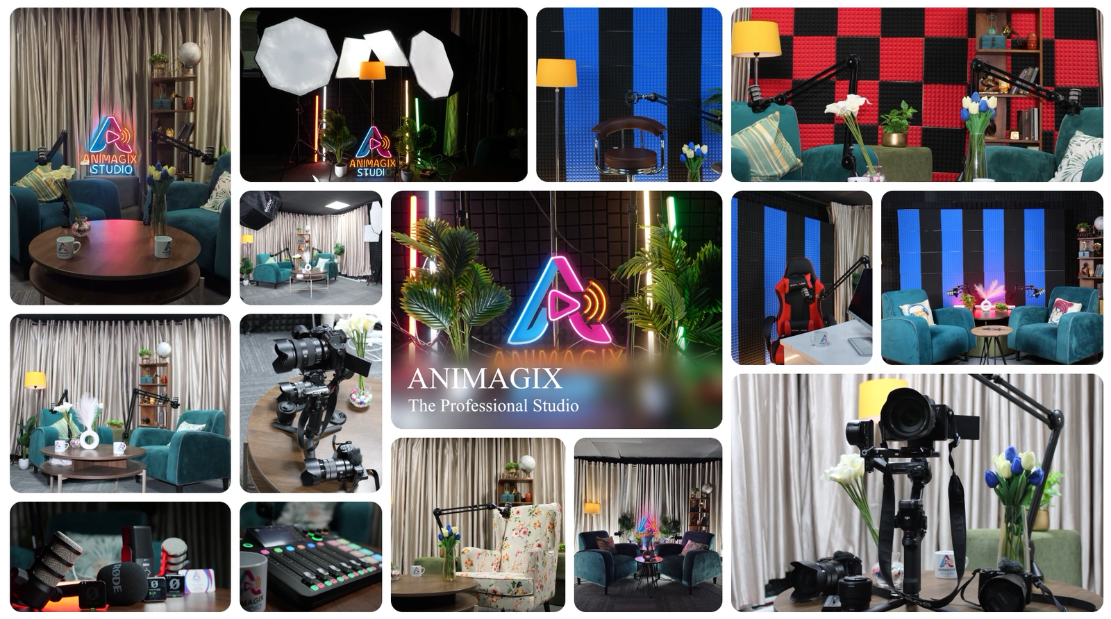 Creator management and personal brand strategy in Koramangala, Bangalore – Animagix Media